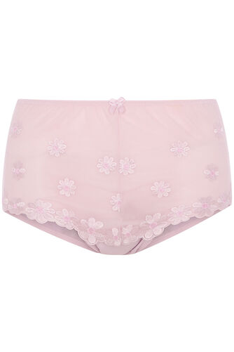 Daisy Floral Embroidered Brief
