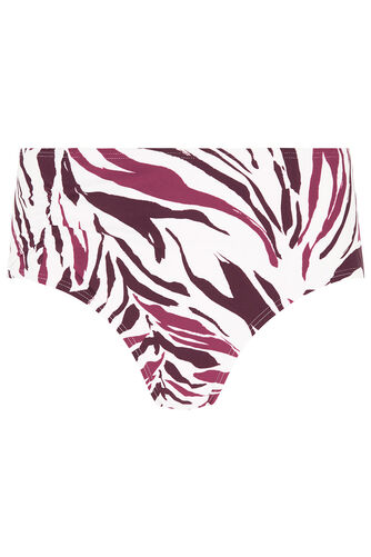 Zebra Bikini Brief